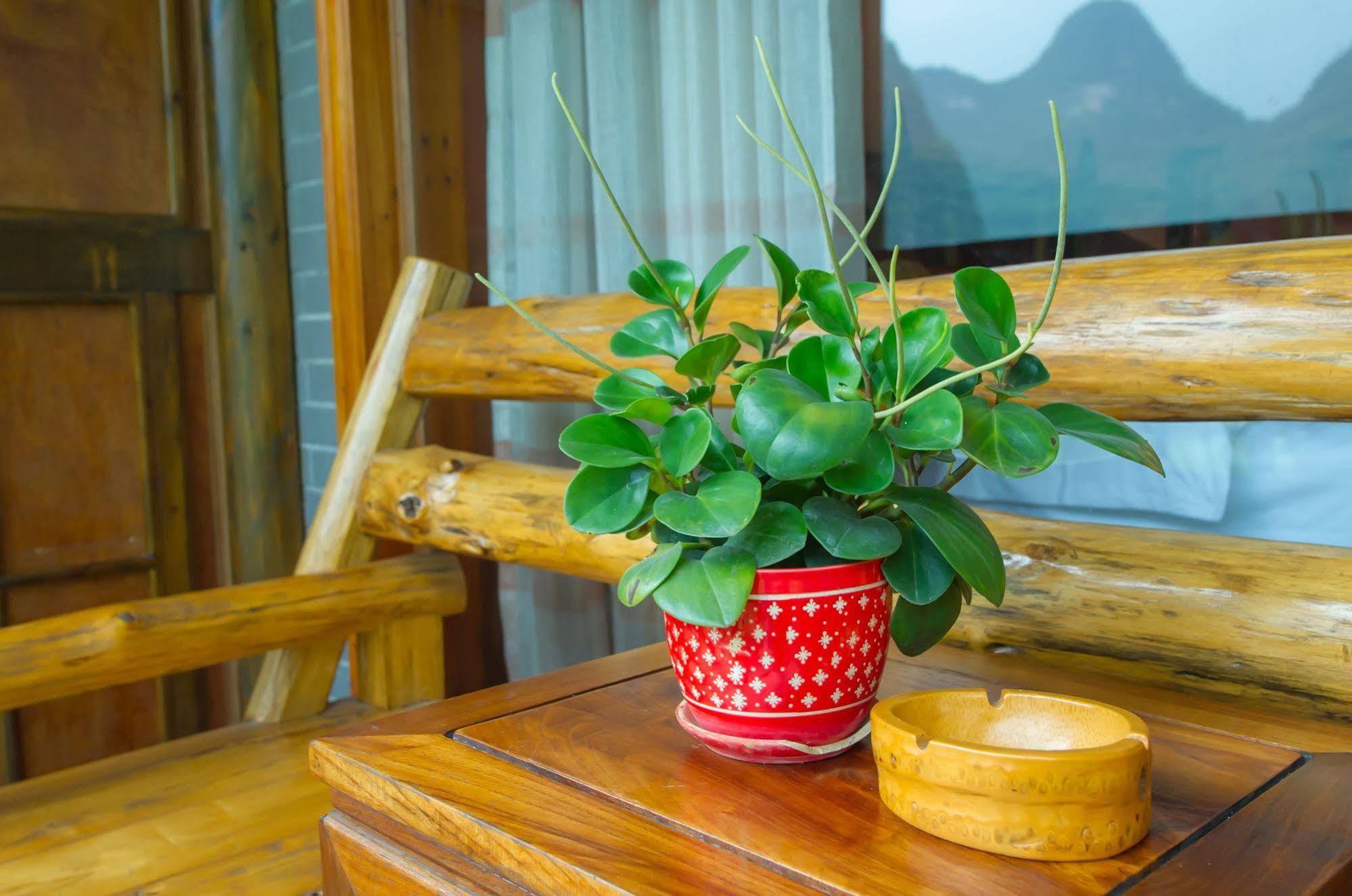 Yangshuo Scenic Mountain Retreat Hotel Ngoại thất bức ảnh